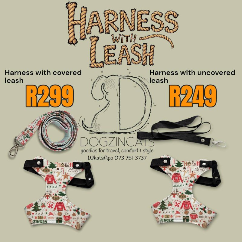 Harness and leash for dogs