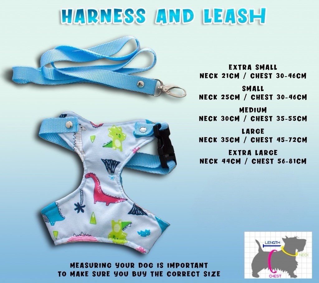 Dog harness and leash sizes