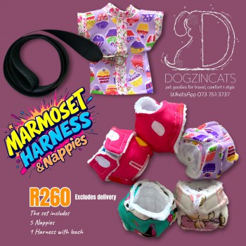 Marmoset nappies and harness