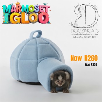 Marmoset igloo